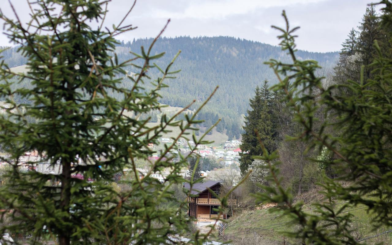 Karpatska Oselia Villa Verhovina Kültér fotó